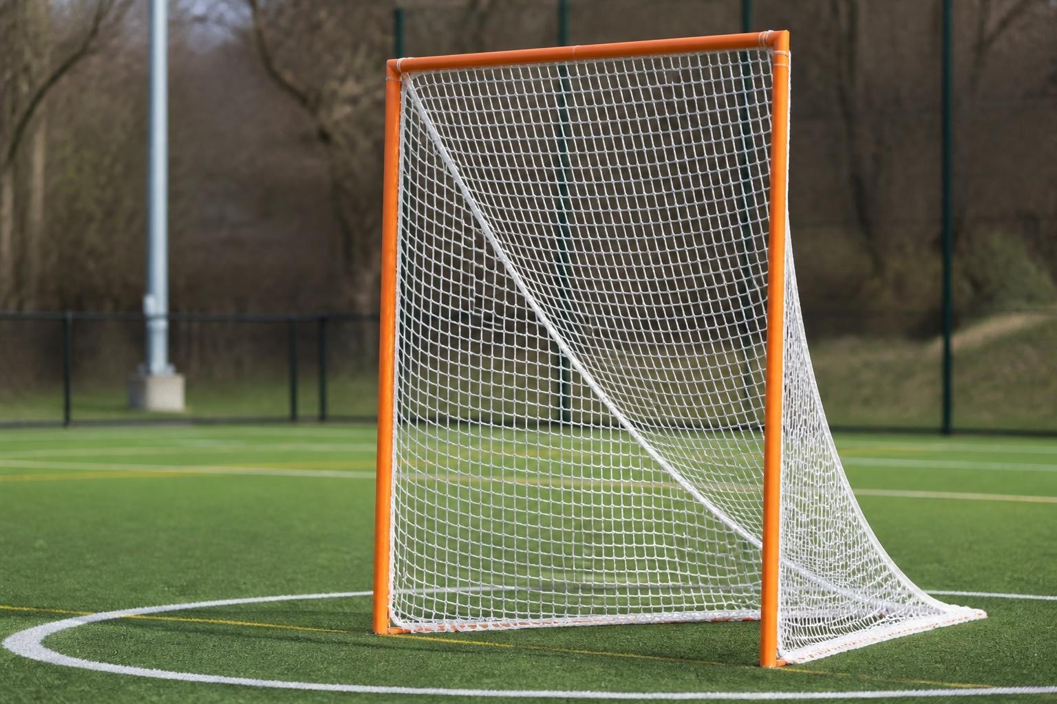 Lacrosse Goals: Complete Guide for Teams and Programs